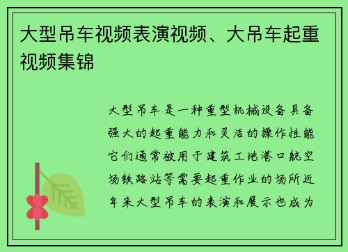 大型吊车视频表演视频、大吊车起重视频集锦