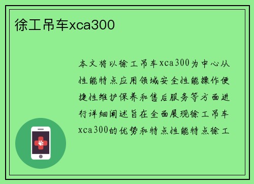 徐工吊车xca300