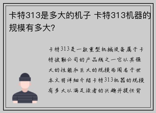 卡特313是多大的机子 卡特313机器的规模有多大？